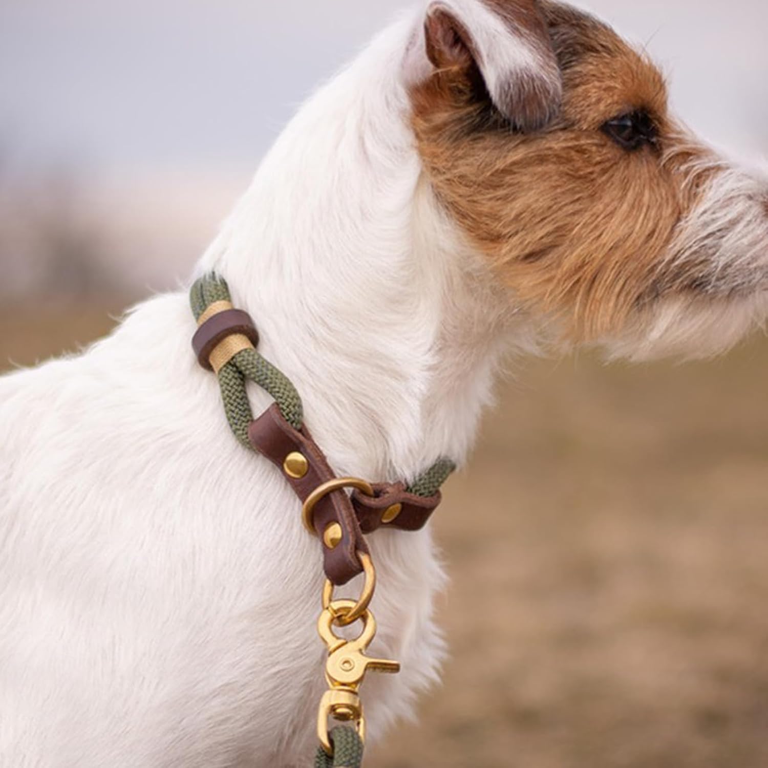 100 Pcs Spring O Rings Round Carabiner Snap Clip, 27MM Zinc Alloy Spring Round Keychain Key Ring Clips, Metal O Ring for Key Chains, Bag, Purse, Handbag and Craft DIY Accessories - Image 5