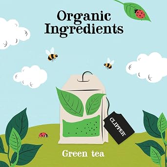 Clipper Organic Fairtrade Pure Green Tea 6 x 20 Teabags | Organic Fairtrade Pure Green Tea, Bulk Buy for Office, Home & Catering, Eco Conscious, Unbleached & Biodegradable Teabags