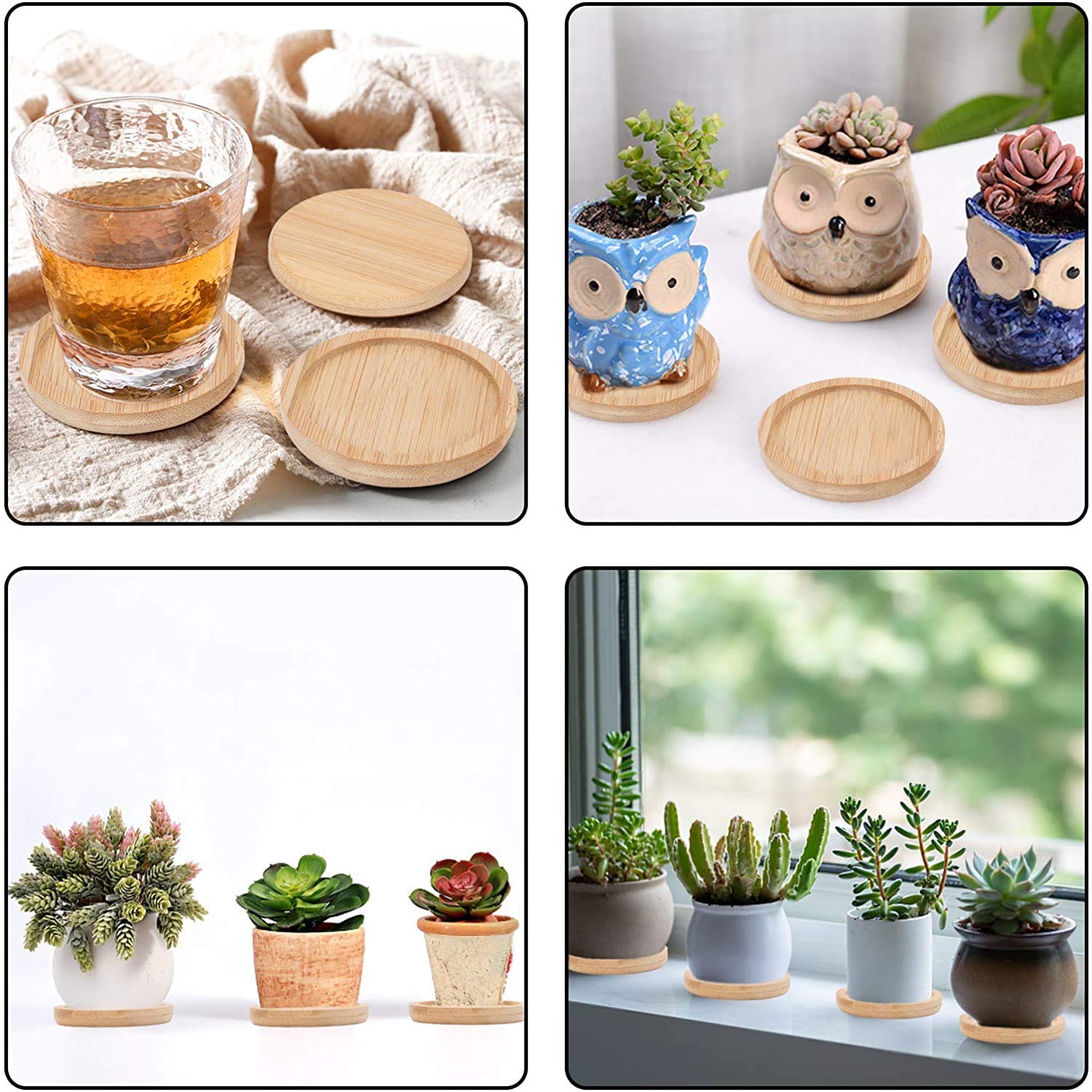 Confezione Da 6 Sottovasi In Bambù Per Piante Grasse – Diametri Da 6,3 A 15,5 Cm, Ecologici E Naturali - 5
