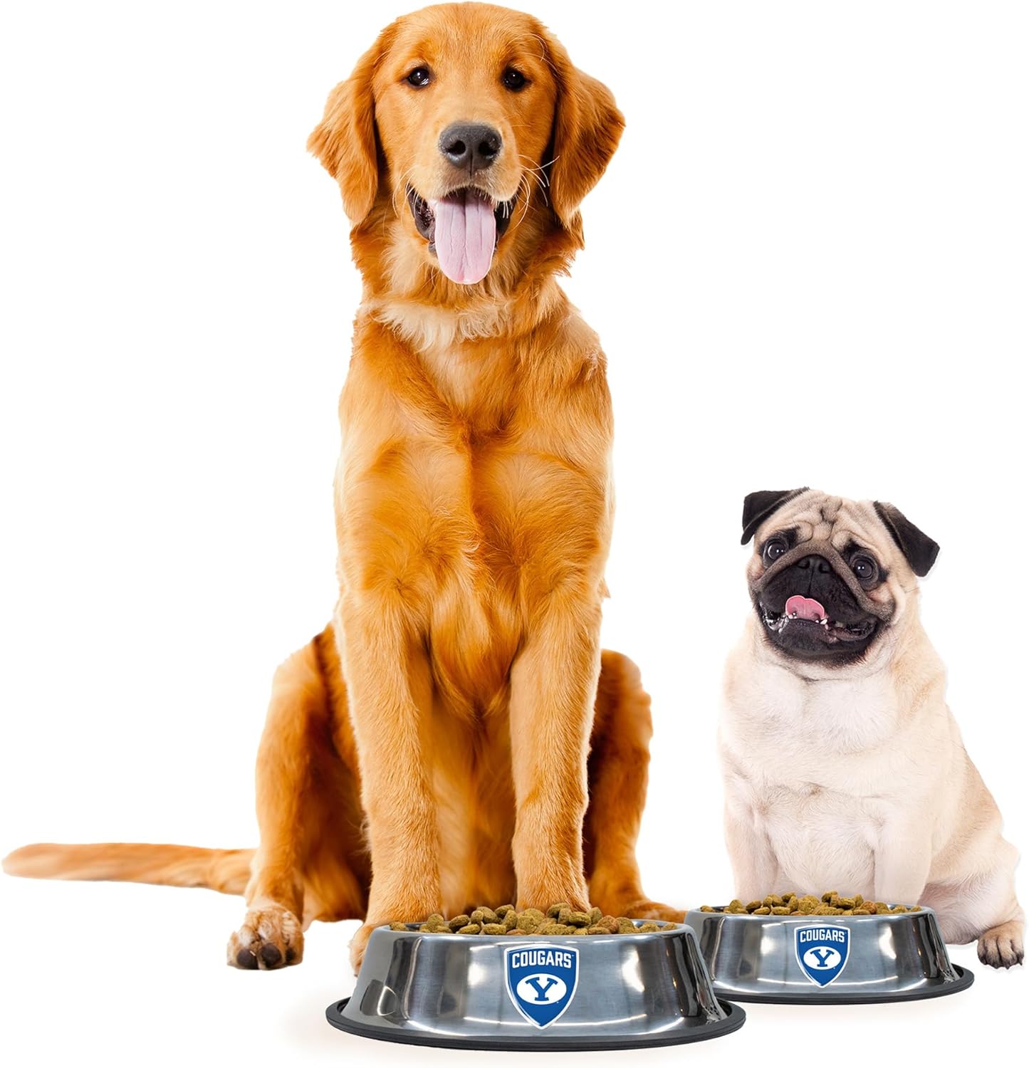 Littlearth NCAA BYU Cougars Everyday Pet Bowl, Small