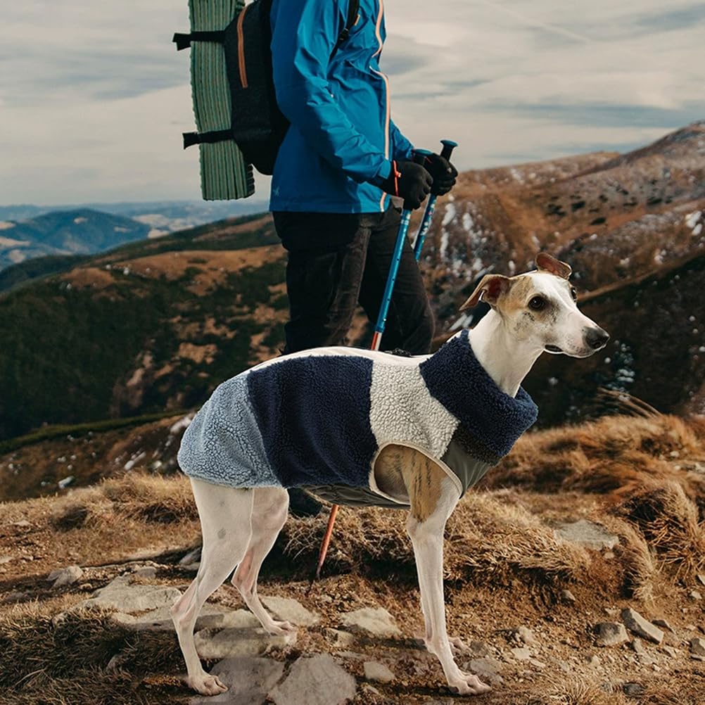 Abrigos Perro De Invierno Chaqueta con Abertura para Arnés, Chaqueta Perro Cálida Chaleco Traje Anti-Nieve Ropa De Invierno, para Razas Pequeñas, Medianas Y Grandes,Azul,3XL