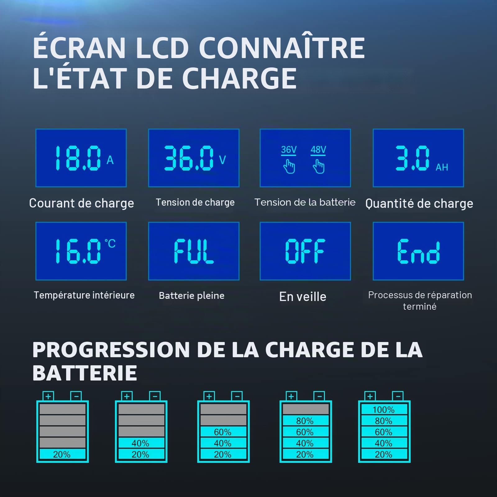 Haisito Chargeur de batterie de voiture P3648 36 V 18 A/48 V13 A turbulent intelligent pour batteries au lithium LiFePO4, batteries plomb-acide (AGM Gel MF, etc.), caravanes, motos, chariots de golf