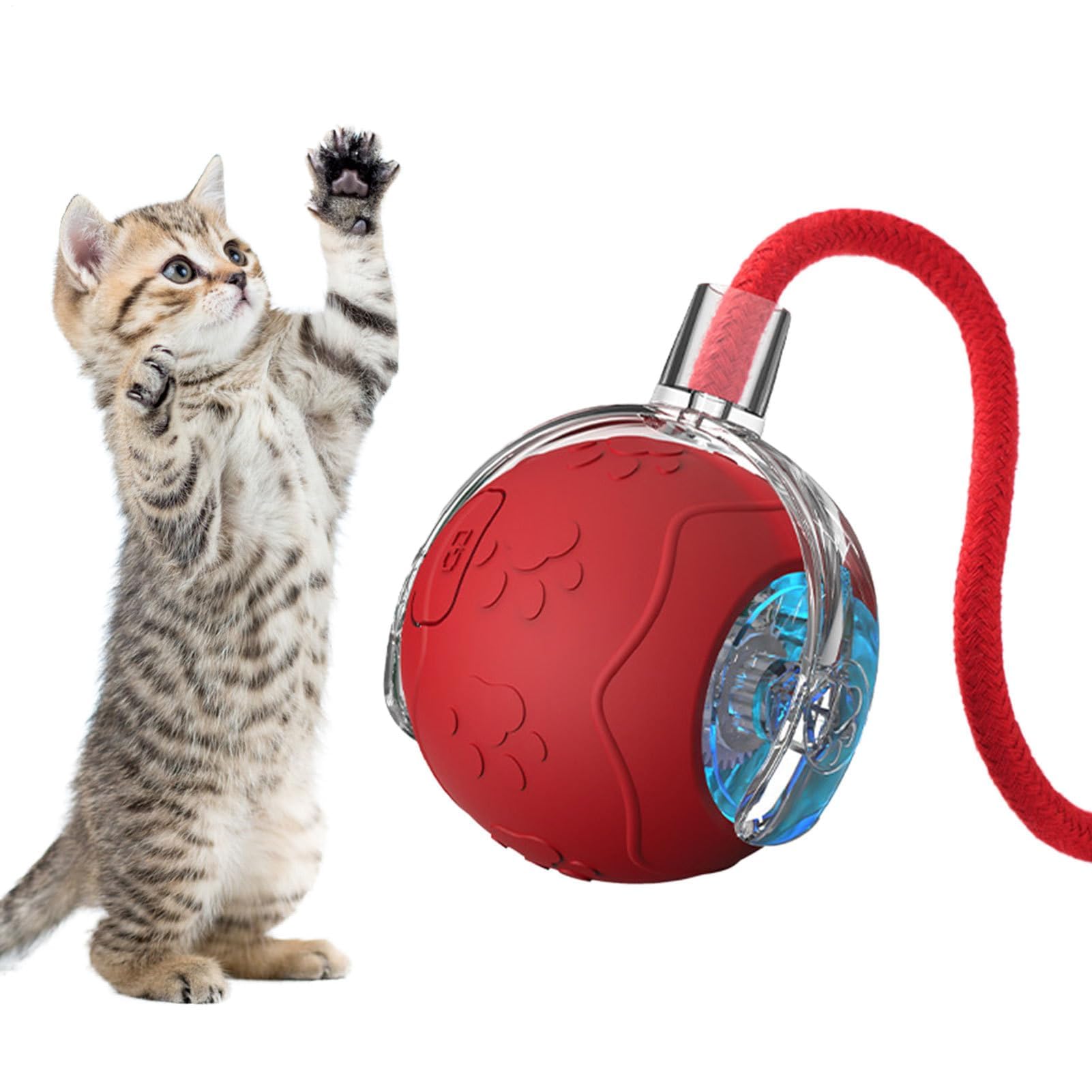Juguetes para Gatos， Divertido Juego for Mascotas - Juguete for Gatos con Bola móvil de Silicona Cuerda | for Ejercicios enriquecimiento Juegos en Interiores(Red)