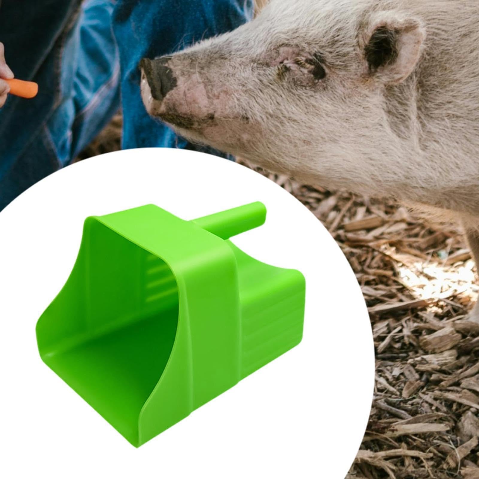 Pelle à Nourriture Pour Animaux De Compagnie Cuillère à Nourriture Pour