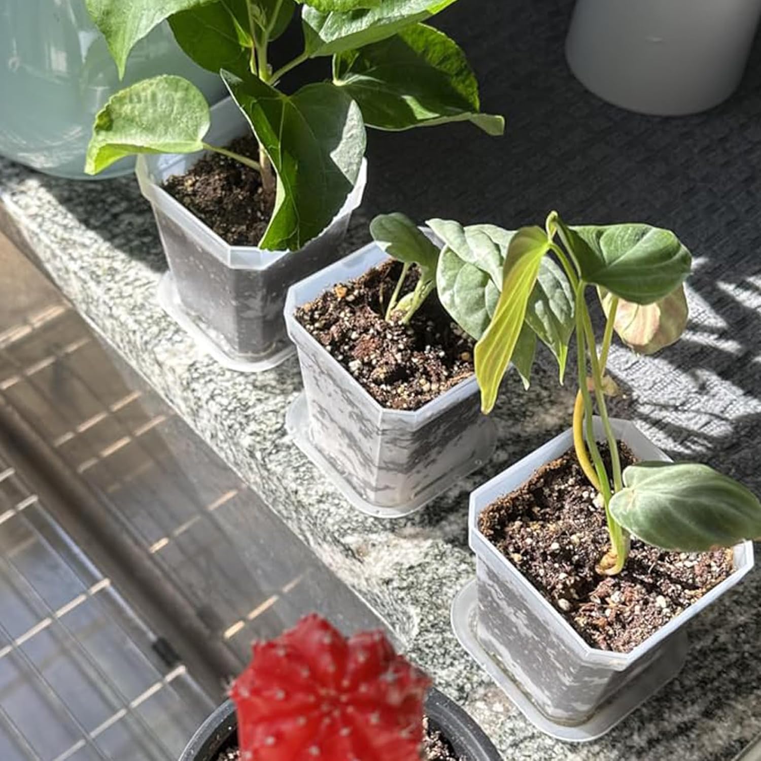 100 PCS 3 Inches Plastic Square Nursery Pot, Transparent Square Plastic Starter Pots with Saucers and Drainage Hole, Clear Nursery Pots for Your Room, Garden, Office and Balcony Decor
