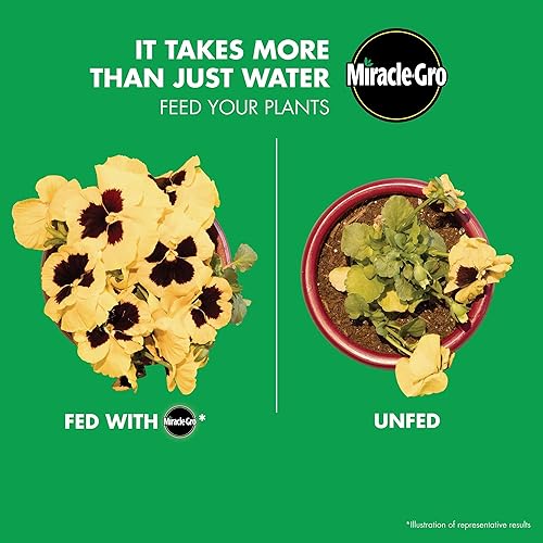 Miniatura 2 de Miracle-Gro Alimento de flores soluble en agua, para uso en todas las plantas anuales y perennes, 1.5 libras, paquete de 2