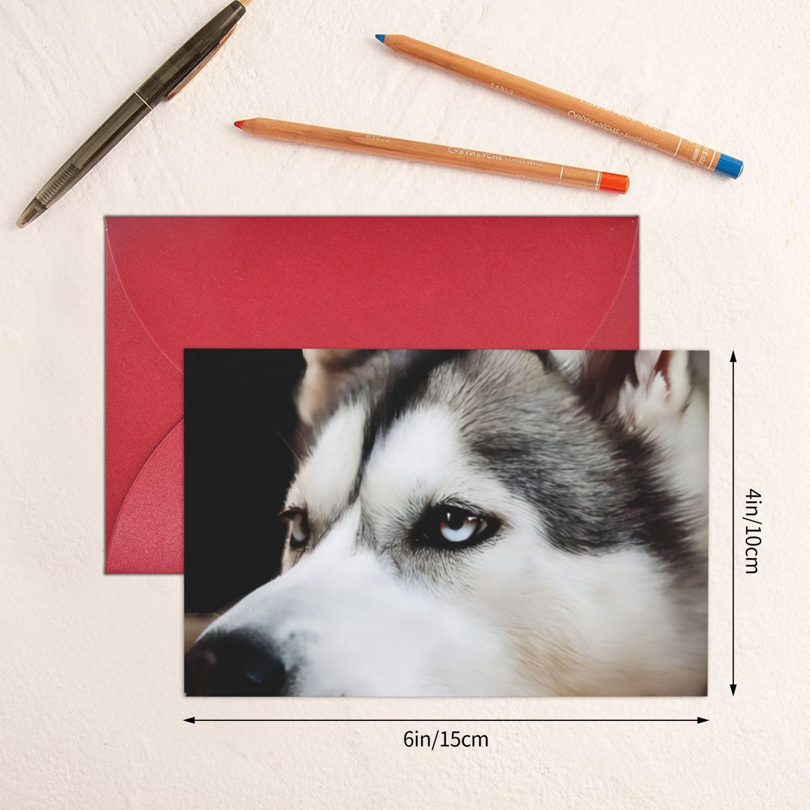 Biglietto Auguri Compleanno Con Husky 145x145 Mm – Alta Qualità Con Busta Di Lusso