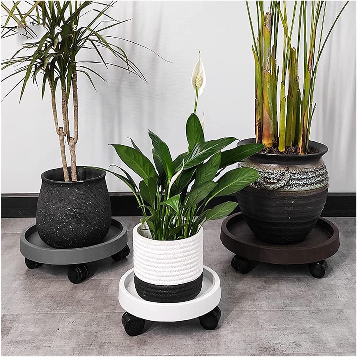 Plant Trolley Plant Pot Trolley,Round Plant Caddy Plant Pallet Pot Planter Trolley Potted Plant Stand Mobile Base Movable Plant Trays Flower Pot Trolle