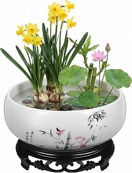 Small Ceramic Lotus Bowl Planter Hydroponic Water Lily Bowl Round Flower Planter Pottery Pot with Plastic Base Table Centerpiece Bonsai Pot for Narcissus Bonsai Succulent Indoor Home Decor, 7 Inch