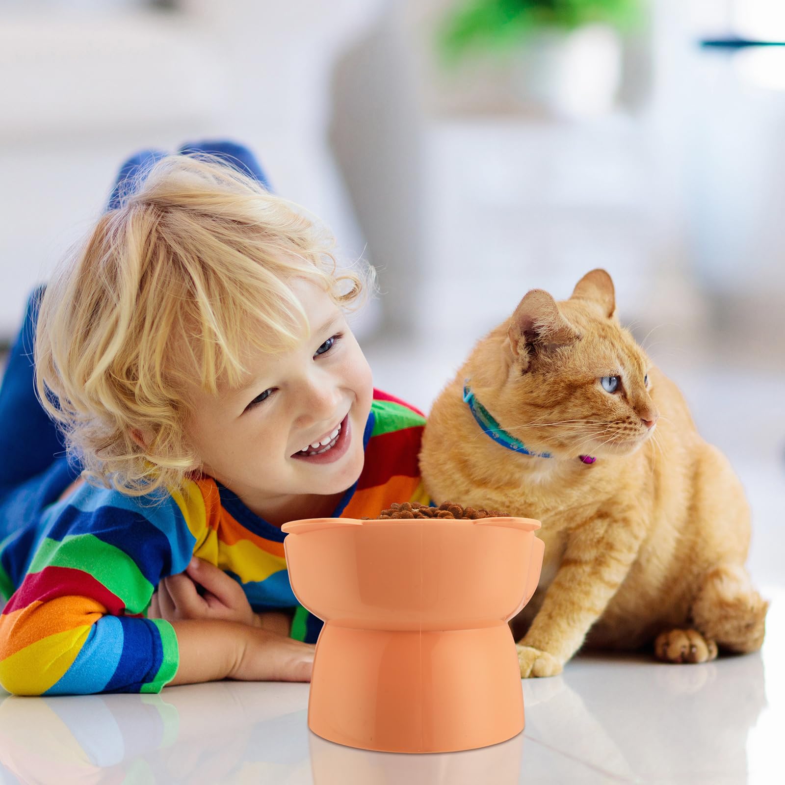 Hsei Lot de 6 gamelles surélevées pour chat - 15 degrés - Anti-vomissements - Inclinables - En plastique - Avec support incliné - Couleur mignonne