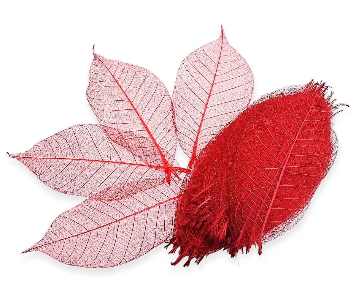 Hojas de esqueleto naturales rojas para álbumes de recortes y proyectos artísticos DIY