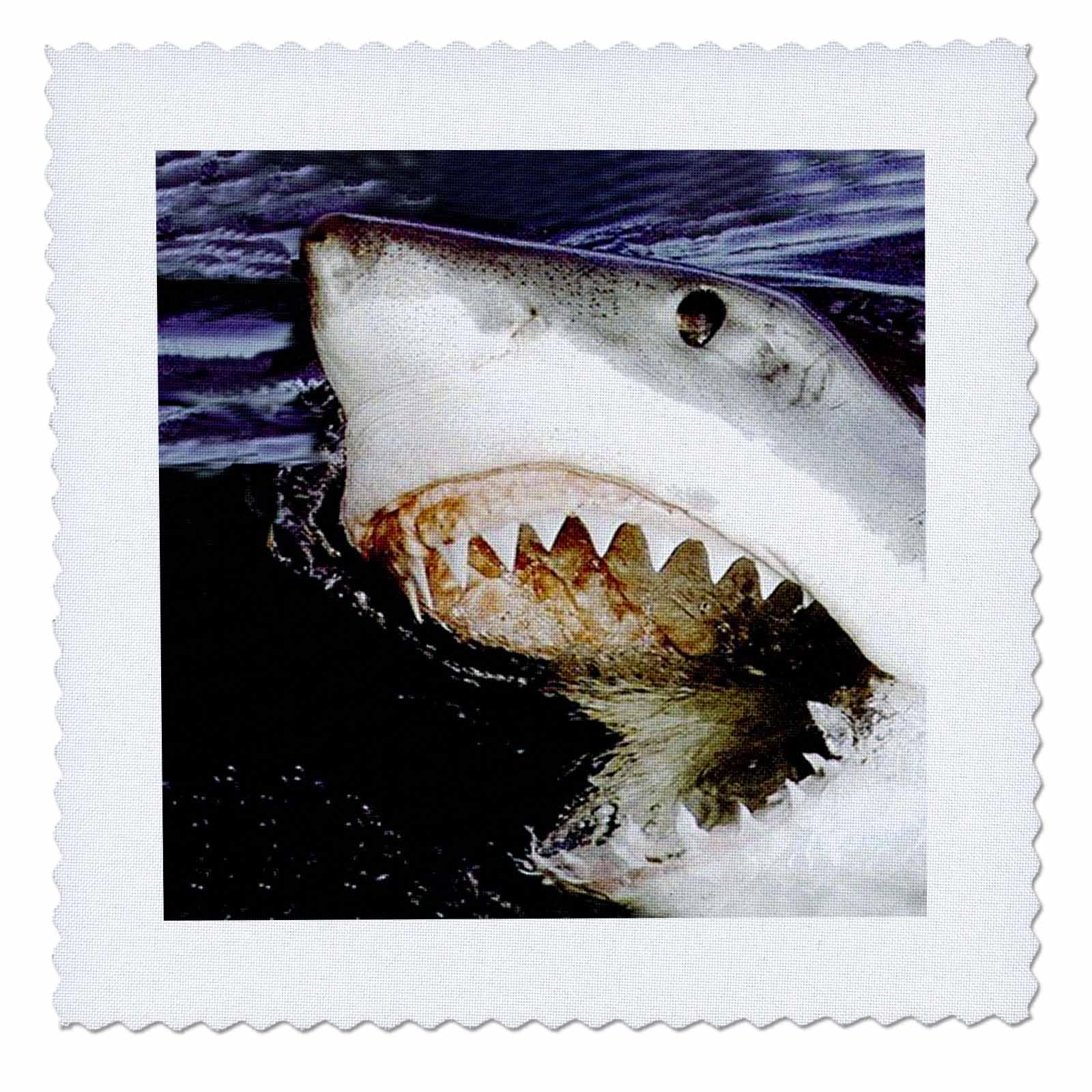 14x14 inch Quilt Square - Great White Sharks