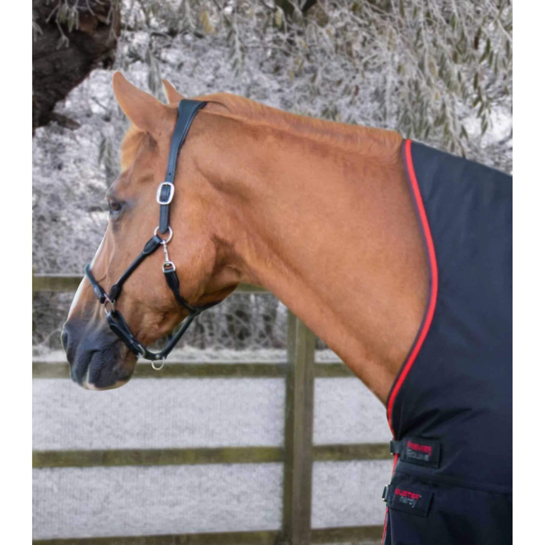Coperta impermeabile per cavalli Premier Equine Buster Hardy 400 g