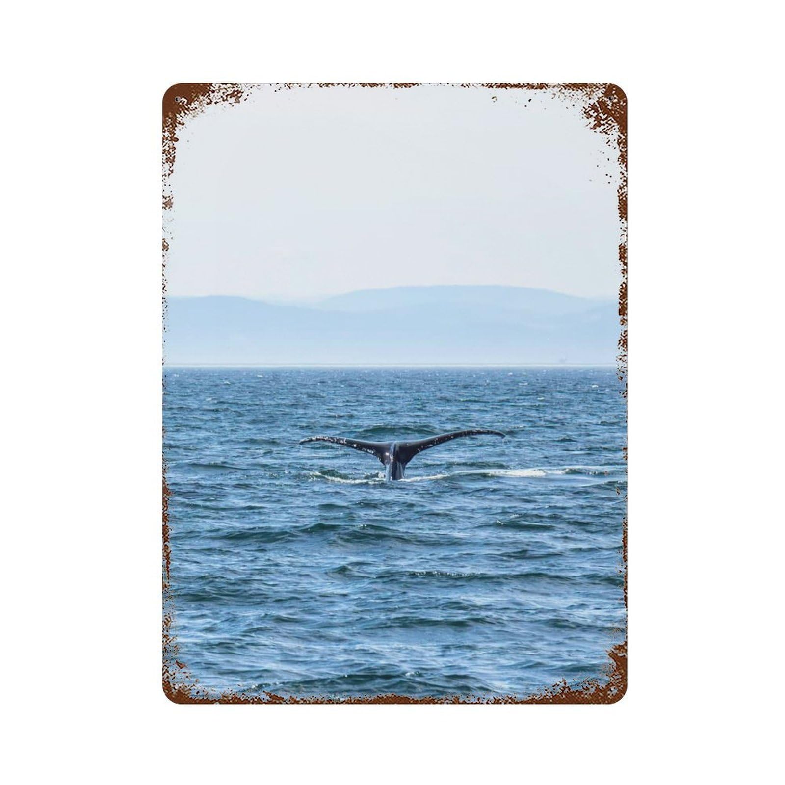 Garage Style Whale Tail Distressed Metal Wall Sign 15.7"x11.8", Novelty Wall Decor for Bar And Workshop