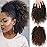 ROSESSEA Short Afro Kinky Curly Ponytail Hair Piece for African American Ponytail Extension Synthetic Afro Kinky Curly Ponytail for Women (Mix Dark Brown(1B/33))