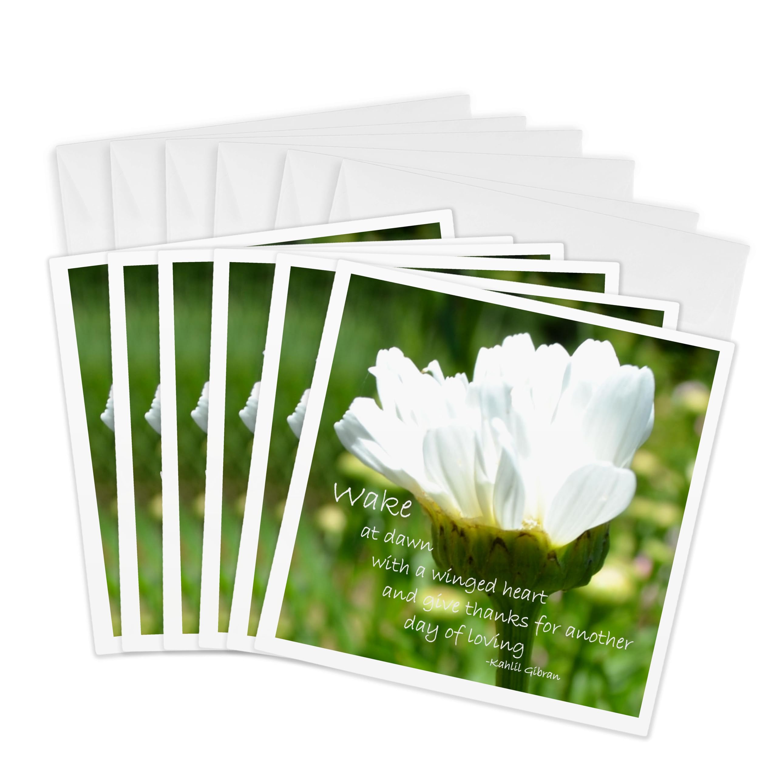 3dRose gc_23688_1 6 x 6-Inch "Inspirational Daisy" Greeting Card (Pack of 6)