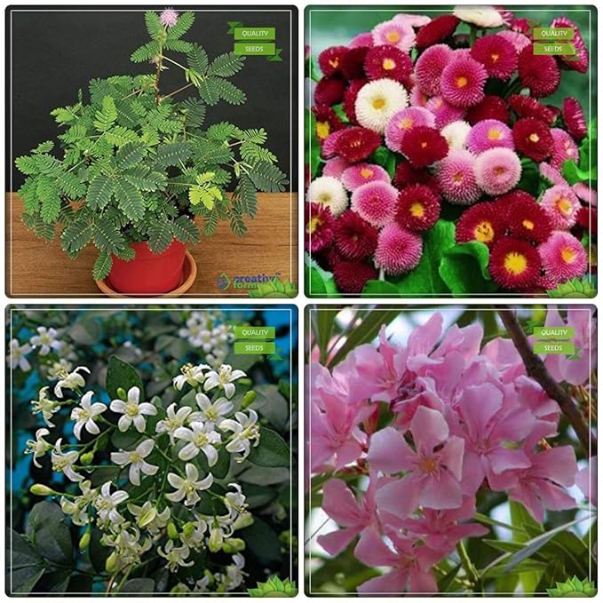 Creative Farmer Garden Flower Seeds All Season Combo Tree Seeds