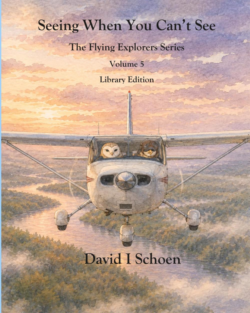 Seeing When You Can't See: The Flying Explorers Series, Volume 5, Full Color Library Edition (The Flying Explorers Series - Library Editions)