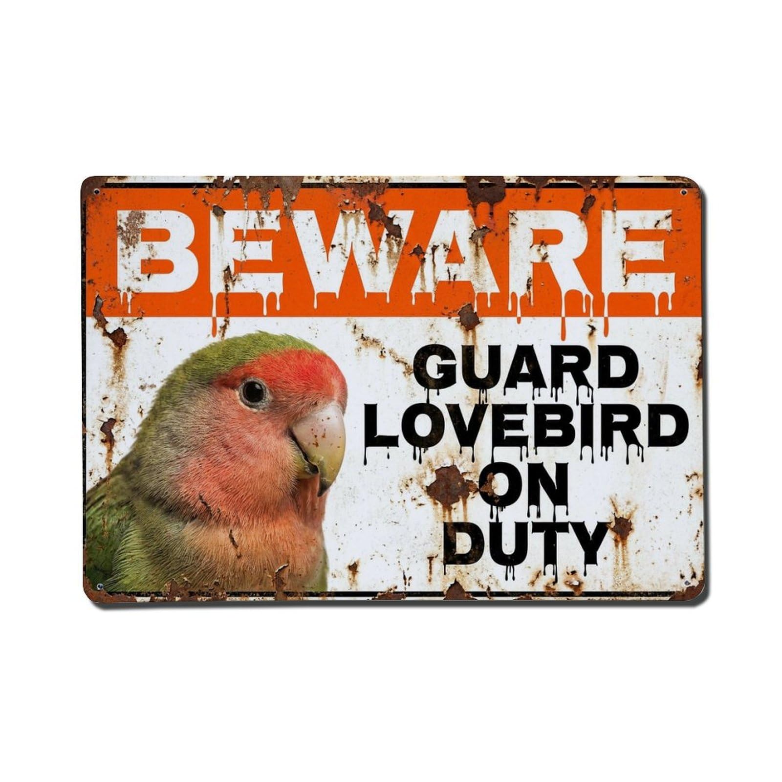 Vintage Funny Lovebird Guard Beware of Bird Passage Metal Tin Sign