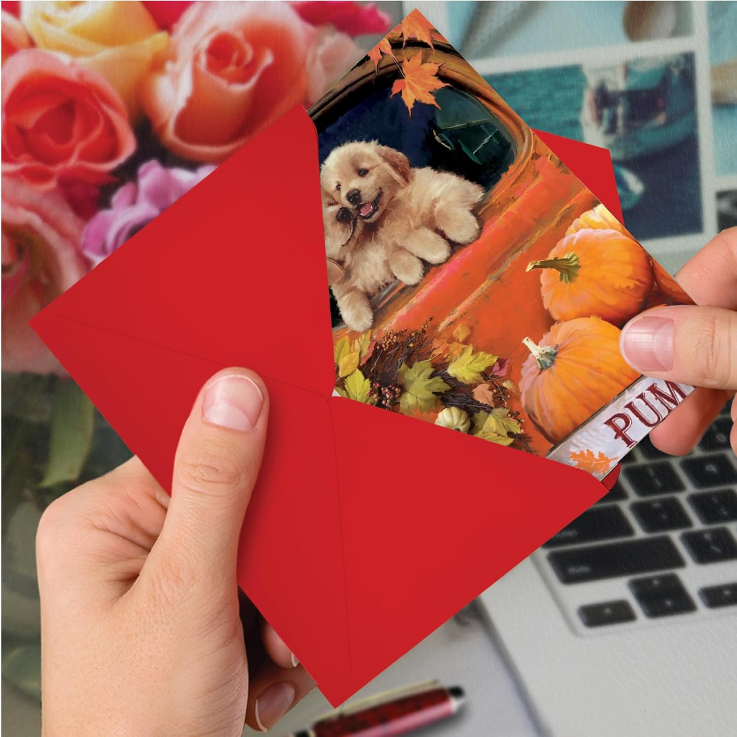 NobleWorks 12 Thanksgiving Greeting Cards Boxed Set with 5 x 7 Inch Envelopes (1 Design, 12 Each) Pumpkin Puppies - Truck C10191BTGG-B12x1