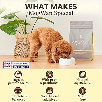 Mog Wan Special made Recipe ドッグフード 楽天市場】【公式】モグワン ドッグフード チキン＆サーモン