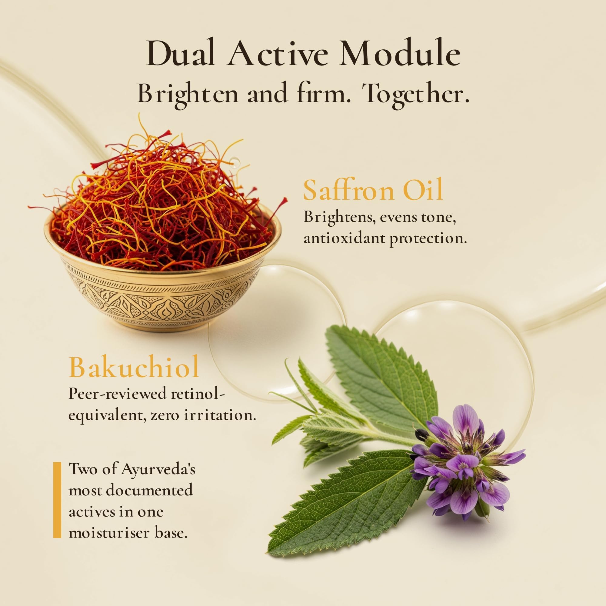 Prana Ashwagandha Crème hydratante de jour - 50 ml - Soin naturel de la peau - Ingrédients ayurvédiques - Hydratation optimale - Sans parfum - Infusé avec de l'ashwagandha bio - Crème pour le visage