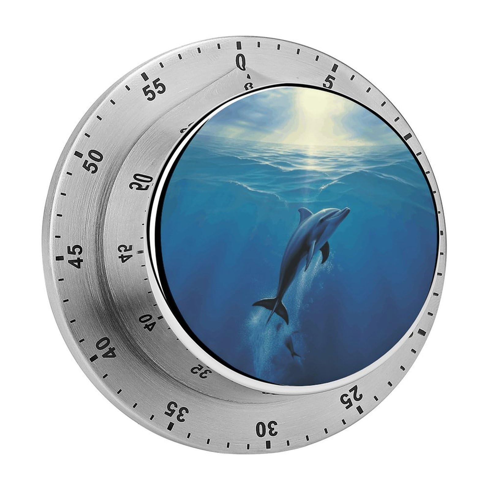 Dolphin in The Ocean Timers Adsorbable Stainless Steel Kitchen Timer Loud 60 Minute Visual Timer Portable Manual Countdown Timers Alarm Clock Time Management Tool for Home Work
