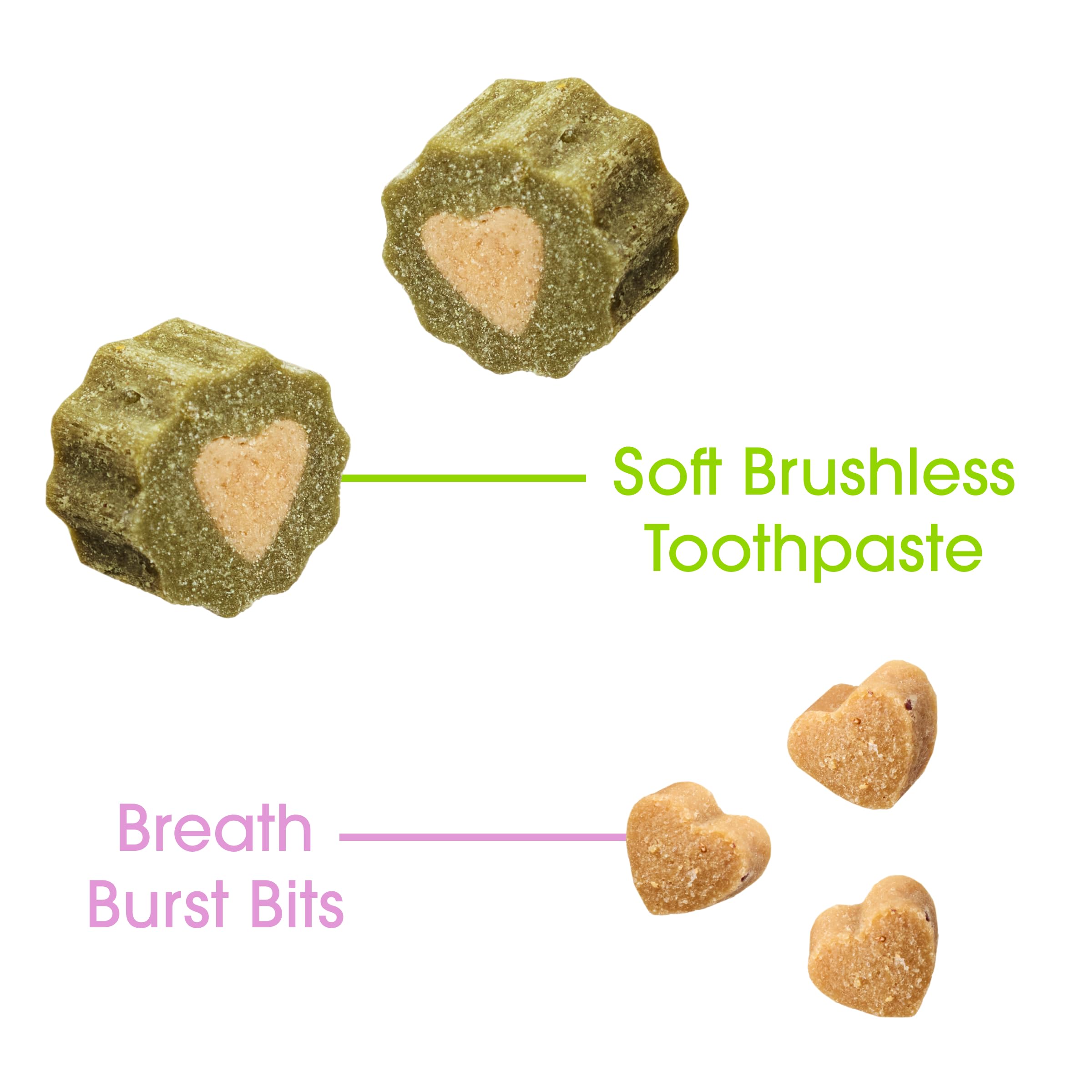 Ark Naturals Dentifrice doux sans brosse + lot d'éclats d'haleine – Formulé par un vétérinaire pour chiens de petite race – Aide à réduire la plaque dentaire et le tartre, polit les dents et
