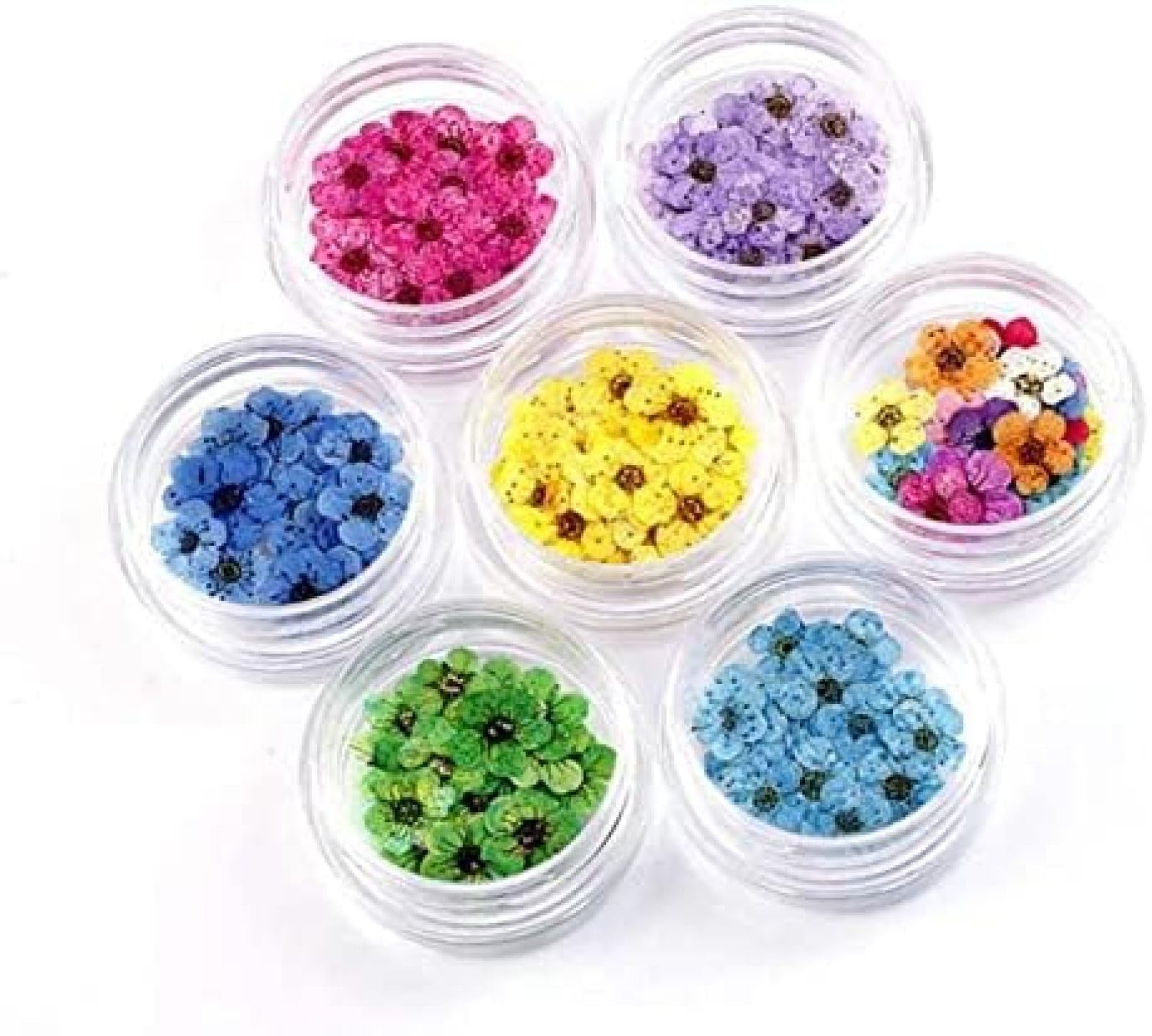Fiori Pressati Secchi 100pcs Mini Narciso Essiccato Narciso Jonquilla Fiore Pianta Erbario per Gioielli in Resina Epossidica Segnalibro Cartolina Nailart DIY,L105,bonny369