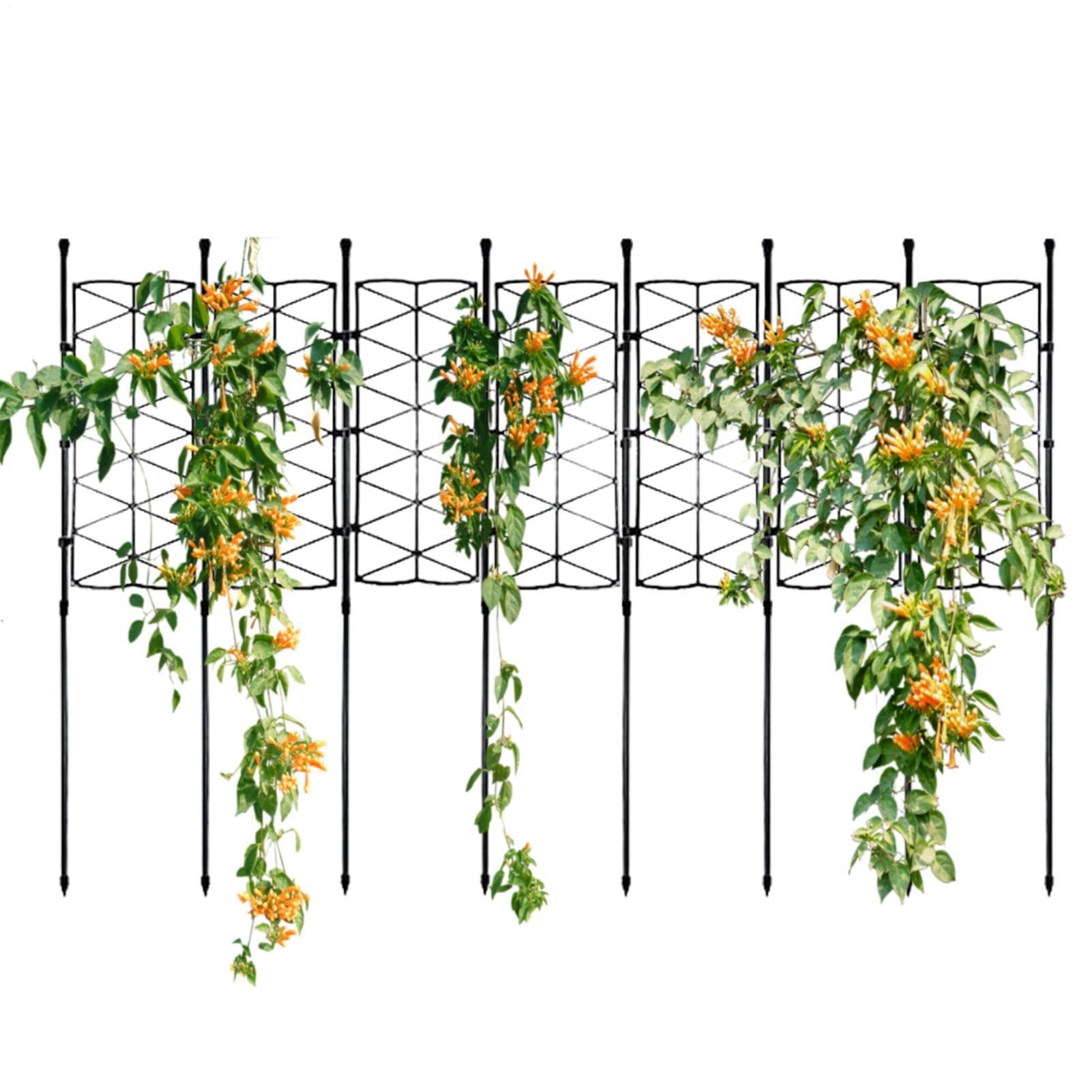 Trellis jardineria resistente con marco trepador de flores para guiar enredaderas y tomates