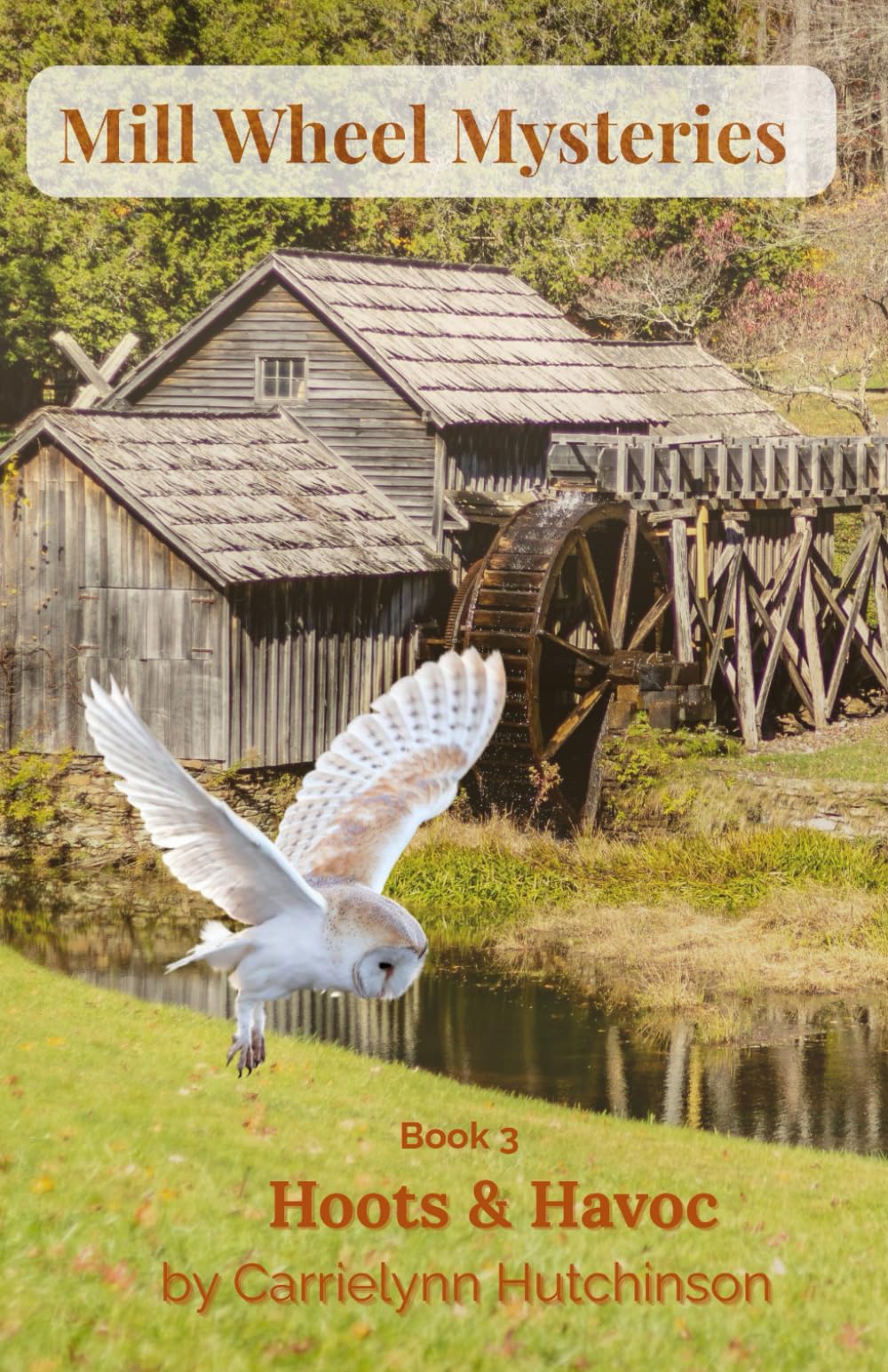 Mill Wheel Mysteries: Book Three: Hoots & Havoc