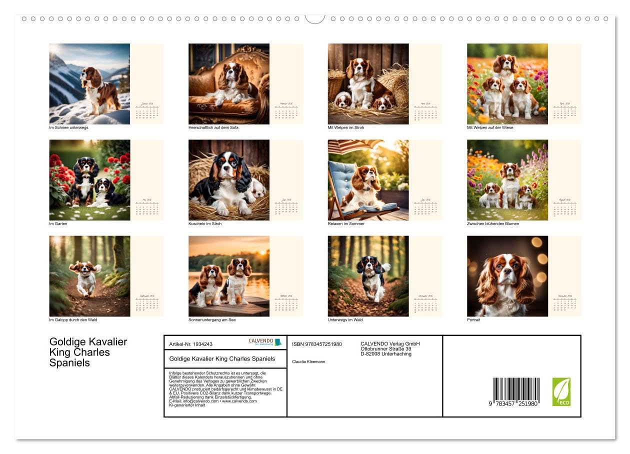 Goldige Kavalier King Charles Spaniels (hochwertiger Premium Wandkalender 2026 DIN A2 quer), Kunstdruck in Hochglanz: Freundlicher Familien- und Seniorenhund (CALVENDO Tiere)