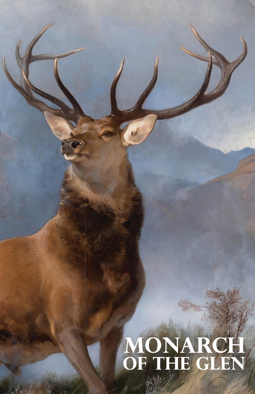 Monarch of the Glen: A discreet password book for people who love deer and Scotland (5.06"x7.81"). (Disguised Password Books)