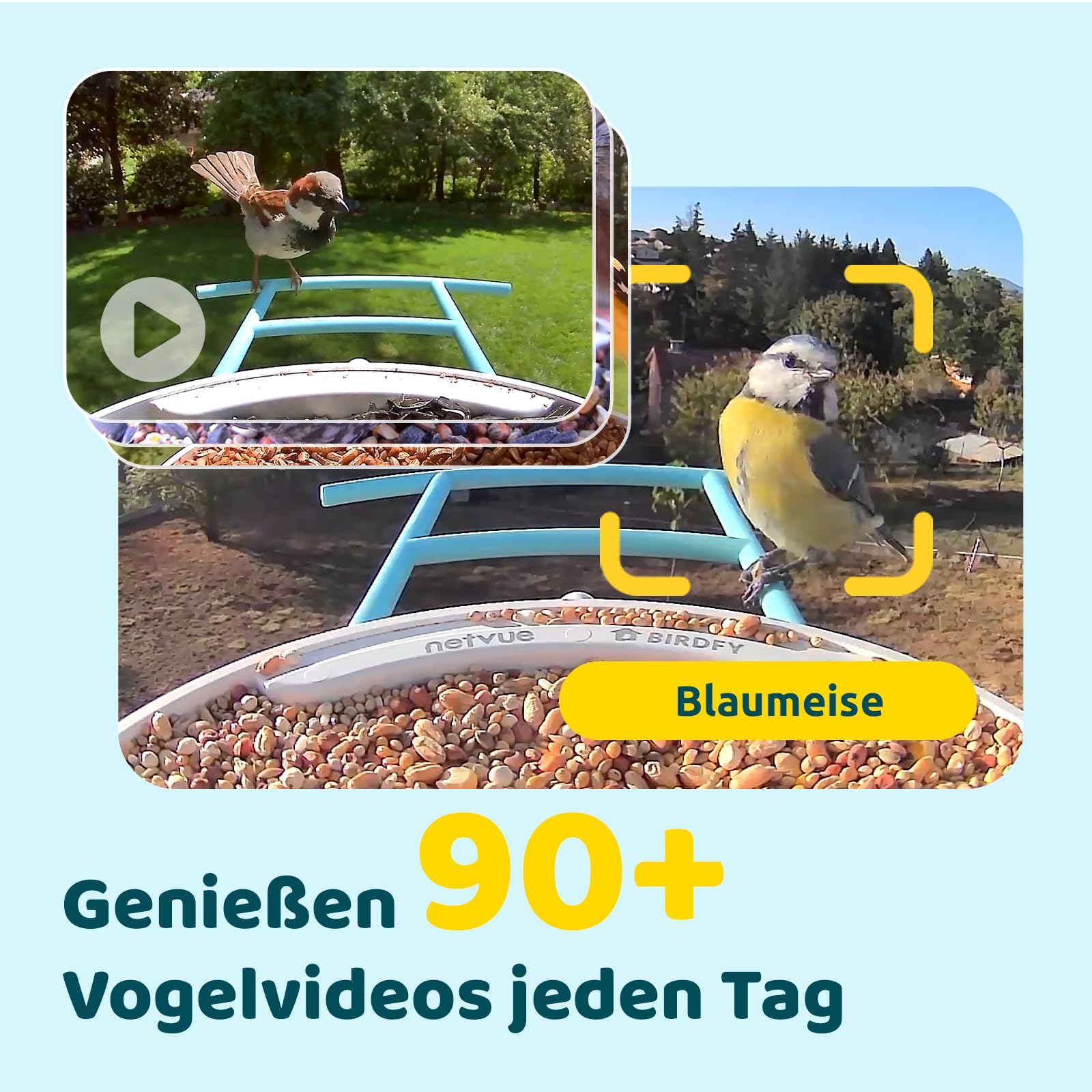 NETVUE by Birdfy Comedero Pajaros Inteligente con Cámara, Comedero Pajaros Exterior, Casita Pajaros con Cámara, Captura Automática de Videos de Aves, Reconocimiento AI de Especies de Aves