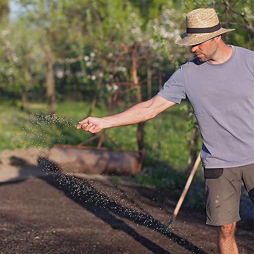 Miniatura 5 de Mountain Valley Seeds - Semillas de trébol holandés blanco, paquete de 0.14 oz  700 semillas, semillas de césped, pasto y cultivos de cobertura