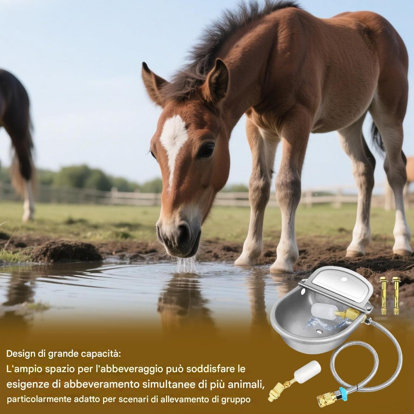 Abbeveratoio Automatico Per Bovini Ciotole Per Alimentazione In Acciaio | Design Con Valvola a Galleggiante Preciso Per Animali Da Cortile E Allevamenti
