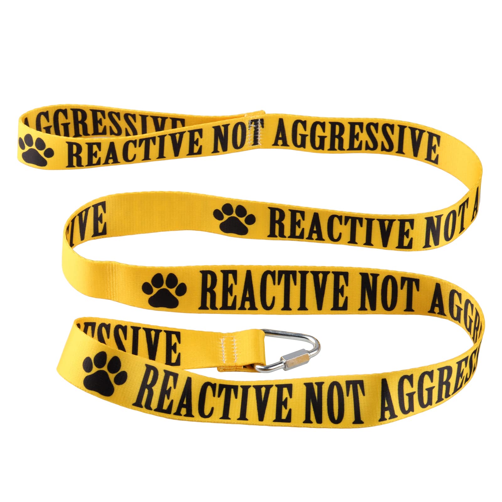 The Best Leash for Aggressive Dog Behavior My Top Picks 2024 We Love