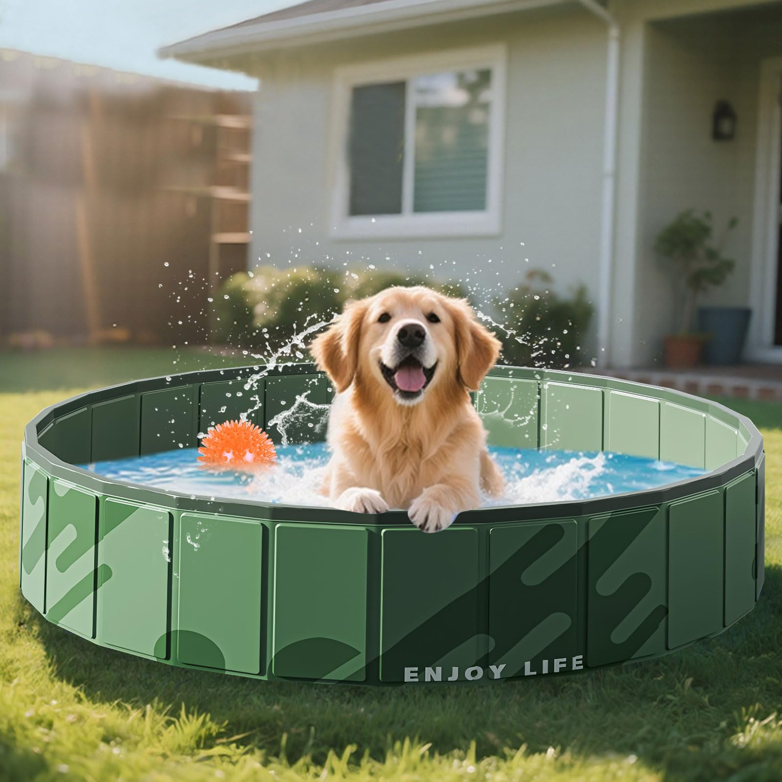 Piscine pour chien de grande taille - 80 x 20 cm/100 x 30 cm - Piscine pliable portable - En PVC épais - Baignoire pour chien robuste antidérapante et résistante à la déchirure - Pour grands et petits