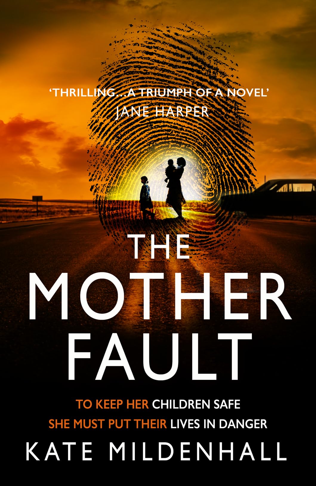 Buy The Mother Fault — BookShops.in