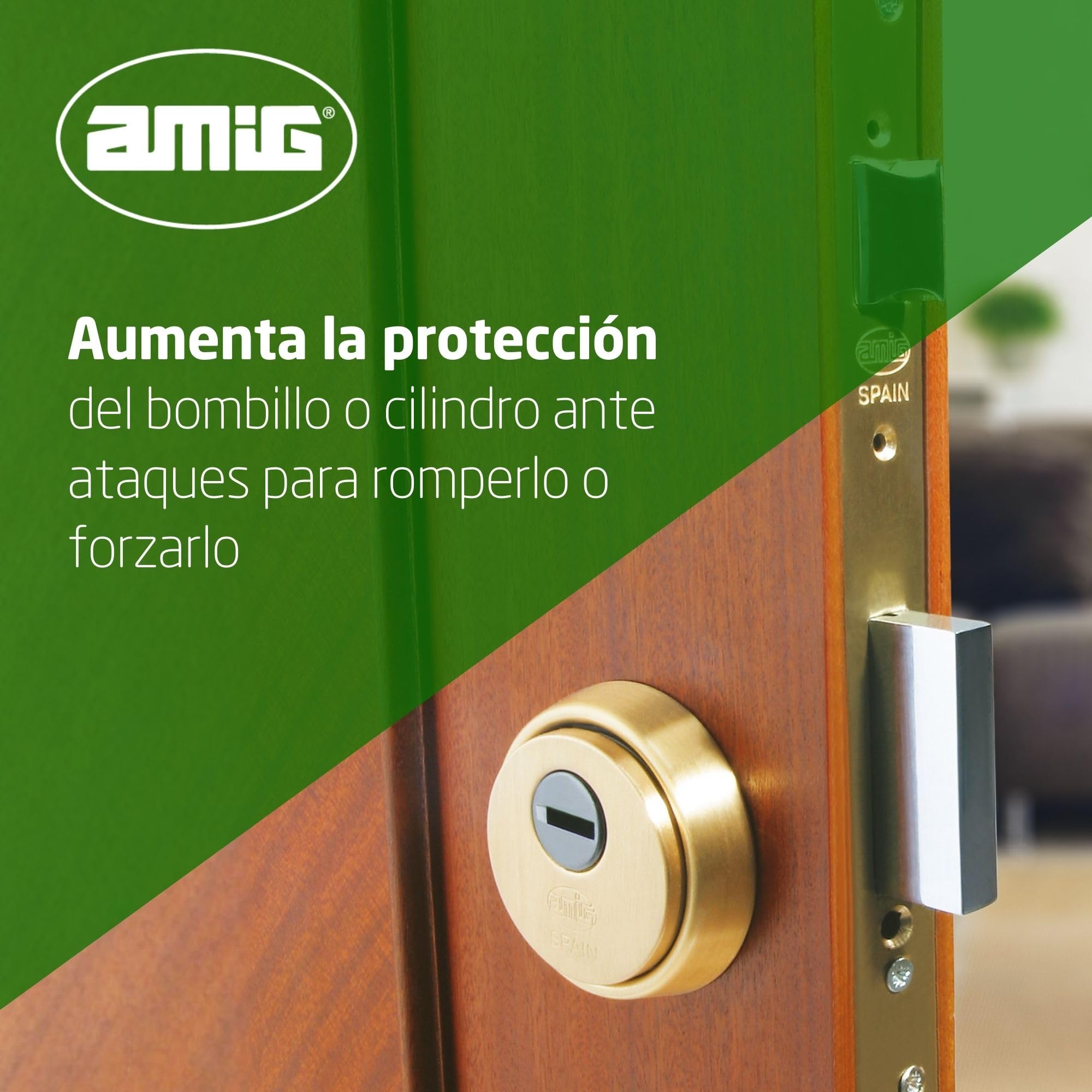 Amig - Escudo Redondo de Seguridad para Cerraduras Mod. 40 - Ø 65 mm - Con Placa Antitaladro y Tuercas Antirrobo - Anillo Exterior Macizo - Latón Acabado en Mate
