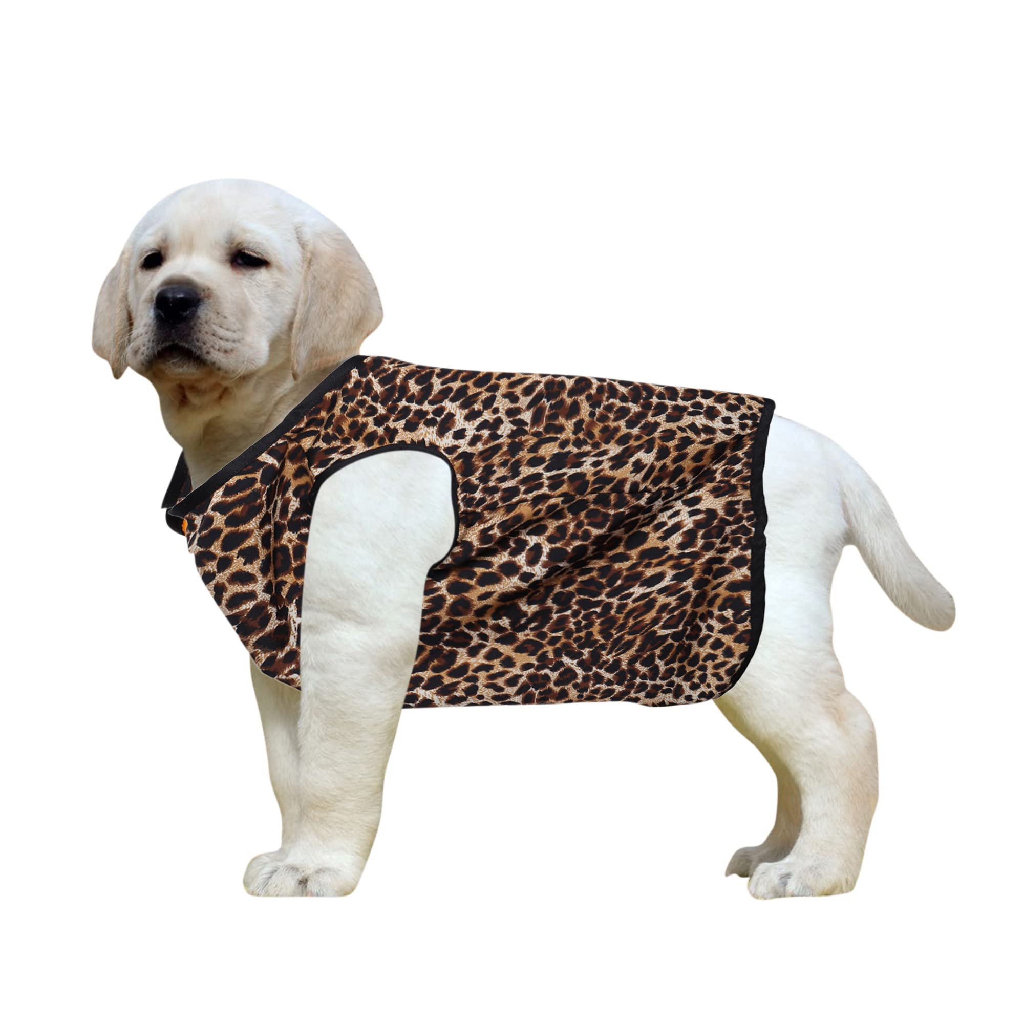 Western Era Funky Soft Cotton Dog T-Shirt | Comfortable & Breathable Dog Clothing | Sleeveless Vest Puppy Outfit |(Leopard Print) (XXLarge) (28inches) (B09WQWKBDR) Amazon Price History, Amazon Price Tracker