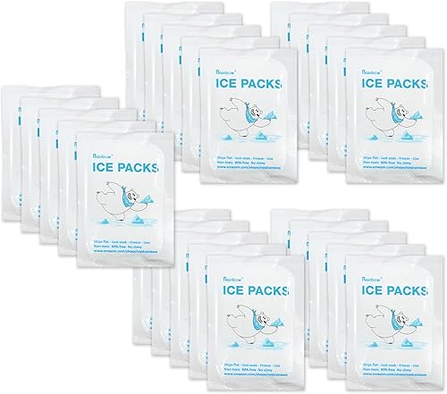 RAINBOW Paquetes de hielo seco para envío de alimentos, pequeñas bolsas frías para bolsas de caja más fría, a prueba de fugas, bolsa de hielo frío