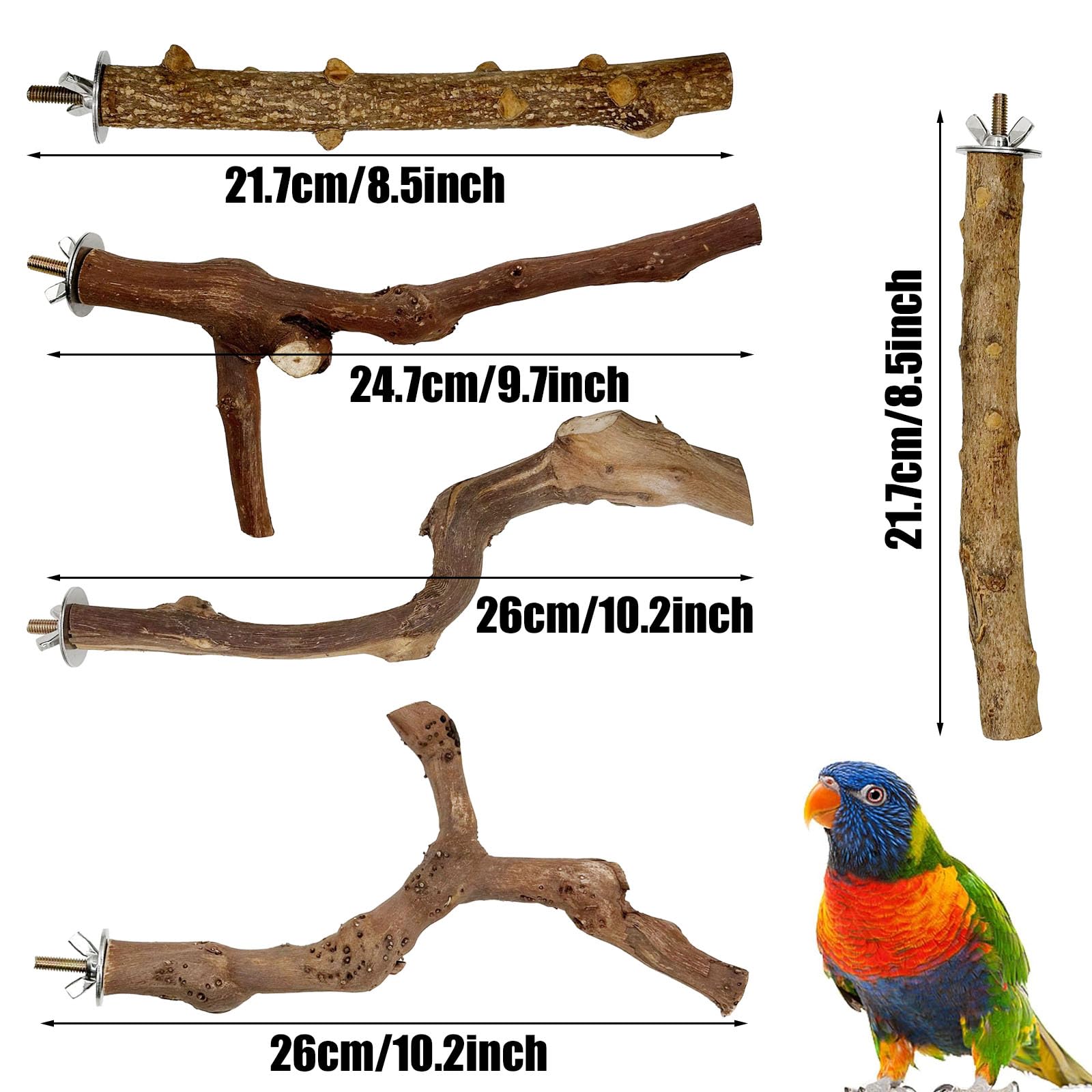 Woohome 5 Pz Posatoi in Legno di Uccelli, Posatoi per Uccelli in Legno di Uva, Trespolo per Uccelli e Pappagalli, Ramo D'uva Naturale Giocattolo Posatoi per Uccelli Legno Naturale per Cacatua