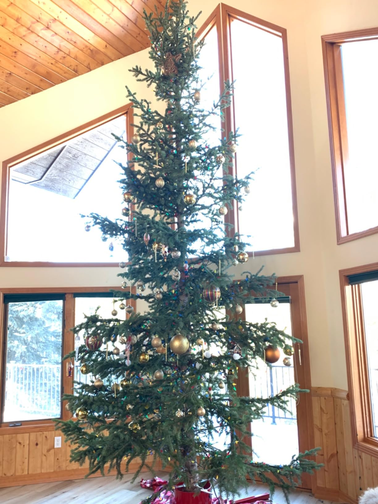 13' 20' Christmas Tree Stand Bowlings Last Stand