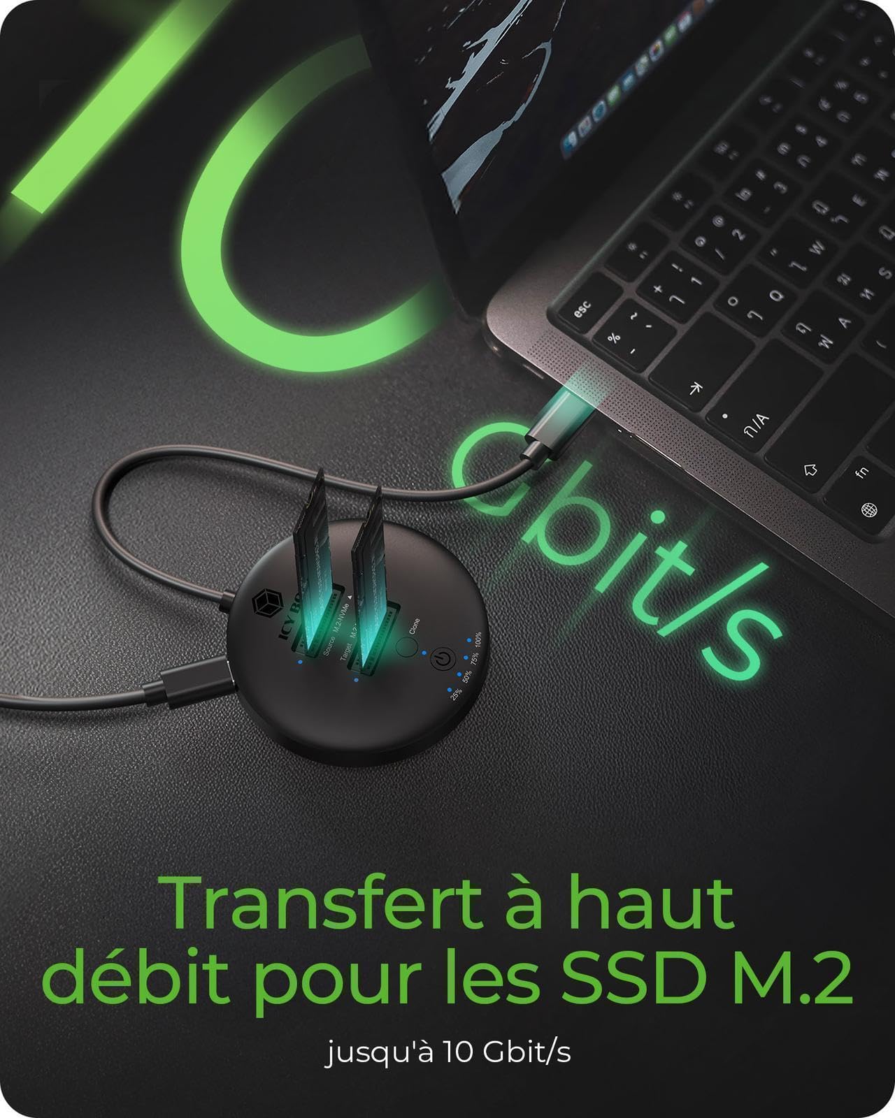 ICY Box M.2 NVMe SSD Clonage et DockingStation, USB-C 3.1 Gen 2, jusqu'à 10 Gbit/s, Double Baie, clonage Automatique sans PC, pour SSD 22 x 30/42/60/80/110 mm, IB-1612MCL-C31