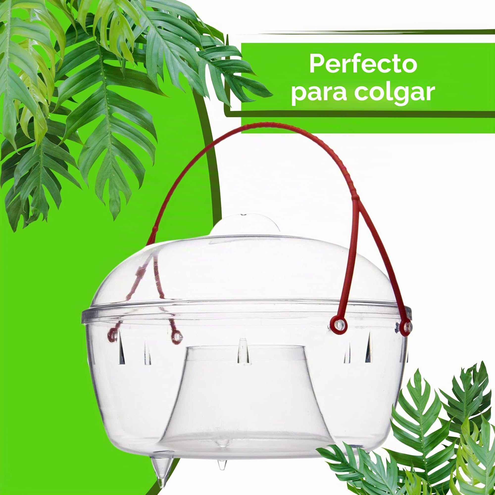 Aroba Juego de 2 trampas para avispas, moscas, mosquitos, 18 cm, respetuosas con el medio ambiente, sin veneno, muy eficaz