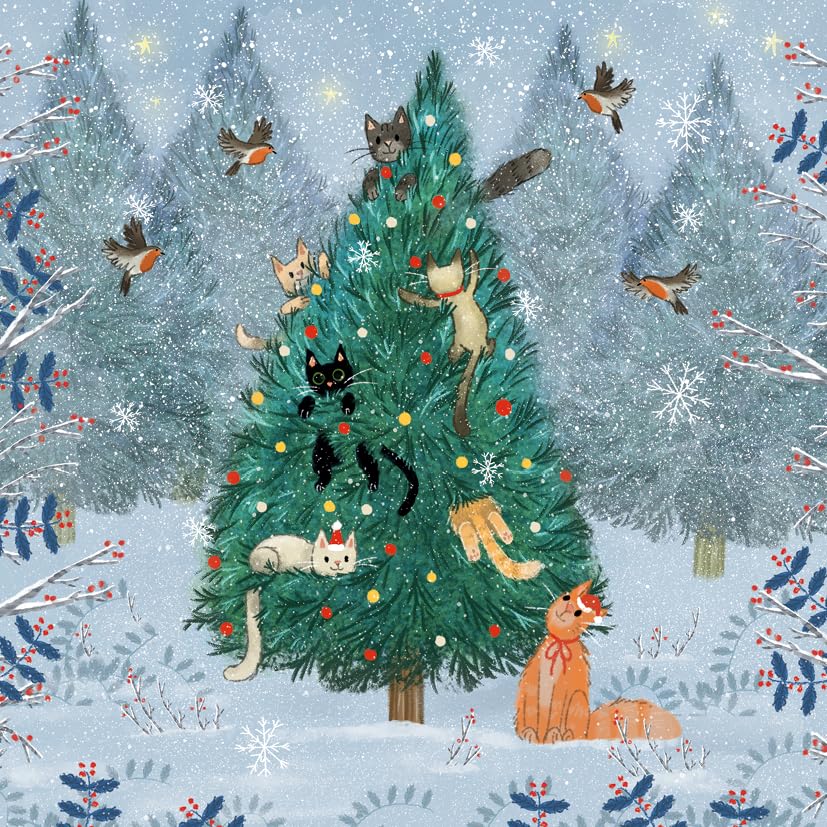Marie Curie Biglietti di Natale Joy to the World, confezione da 10