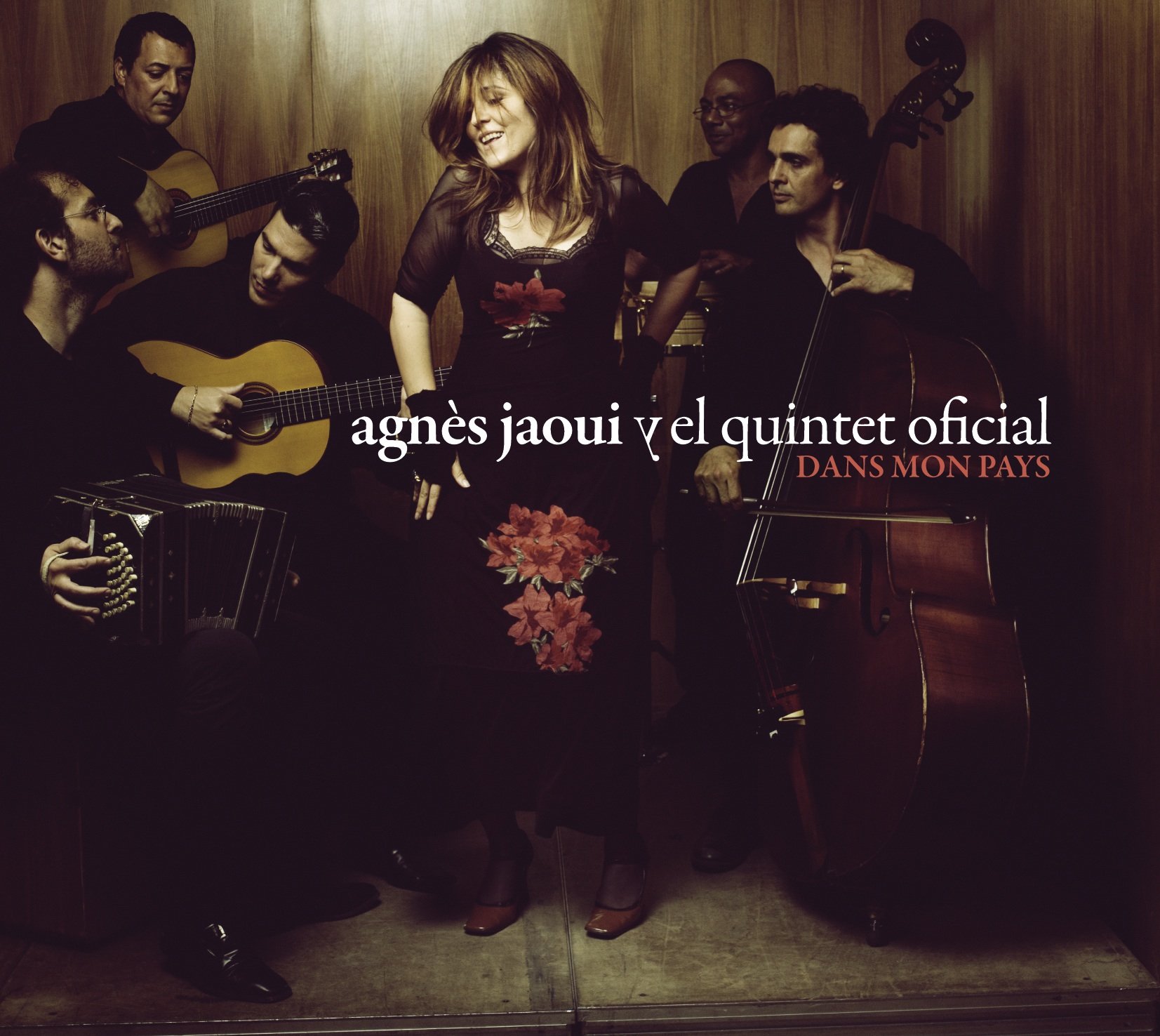 Dans mon pays [Audio CD] Agnès Jaoui