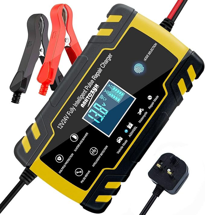 ANHTCZYX Car Battery Charger, 12V 8A/24V 4A, suitable for golf cart