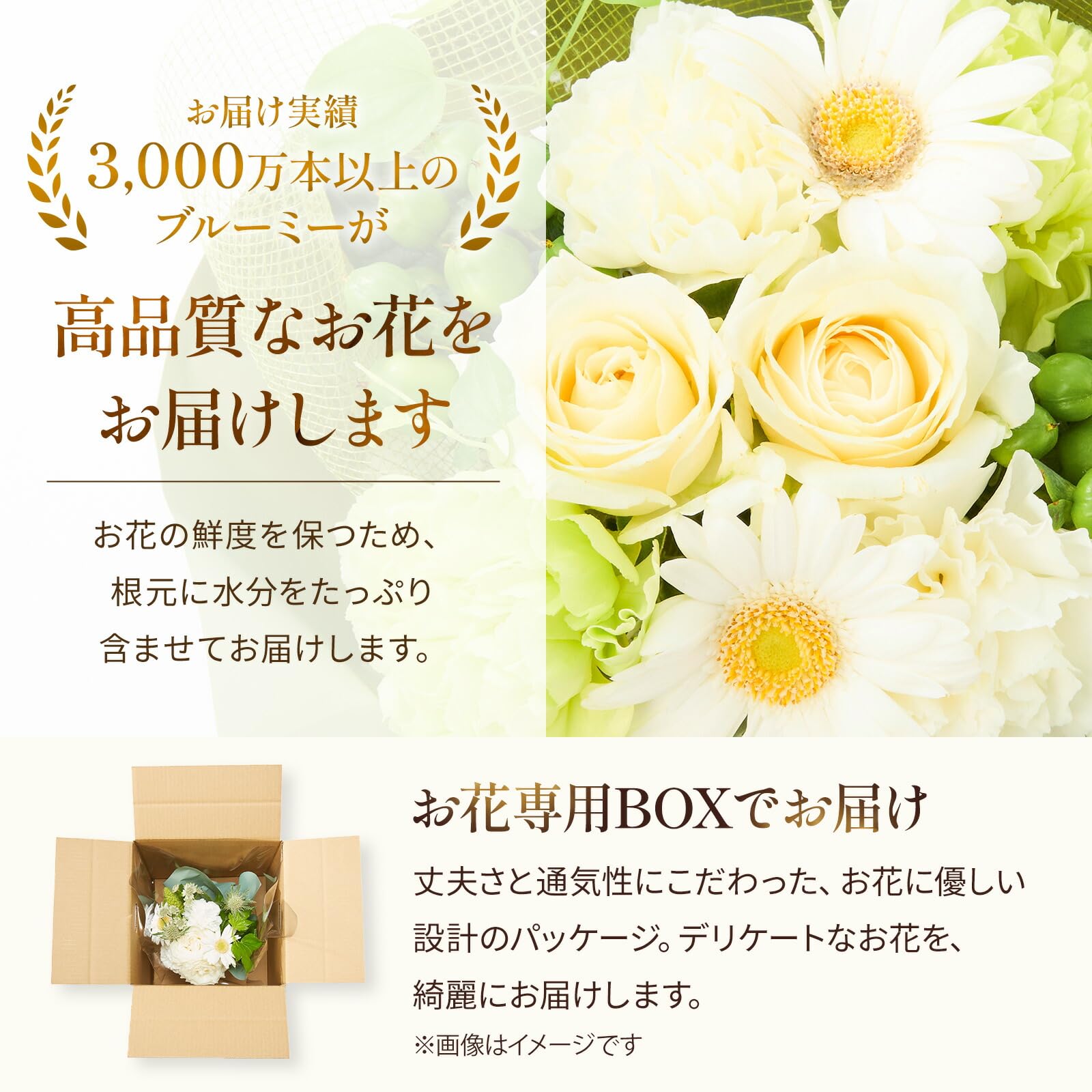 Amazon|bloomee(ブルーミー) そのまま飾れる ブーケ 白 Sサイズ 母の Amazon|bloomee(ブルーミー) そのまま飾れる ブーケ 白 Sサイズ 母の